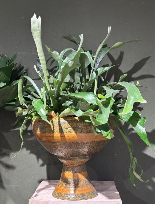 Vintage bloempot - aardewerk - jaren 70 - curiosa, Huis en Inrichting, Overige Huis en Inrichting, Zo goed als nieuw, Ophalen