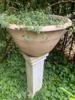 Griekse Zuil met Pot en Plant, Ophalen, Gebruikt, Minder dan 60 cm, Rond