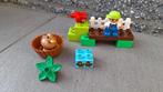 Duplo 10581 bos eenden, Ophalen of Verzenden, Zo goed als nieuw, Complete set, Duplo