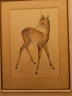 Schilderij van een ree, Ophalen of Verzenden