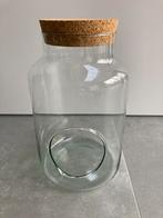 Terrarium pot - glazen pot - kurk, Ophalen, Overige soorten, Halfschaduw, In pot