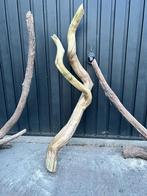 2 grote stukken aquarium hout, Dieren en Toebehoren, Vissen | Aquaria en Toebehoren, Ophalen of Verzenden, Plant(en), Steen of Hout