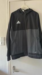 Adidas trainings jack met capuchon Large, Kleding | Heren, Ophalen of Verzenden, Zo goed als nieuw, Maat 52/54 (L), Blauw