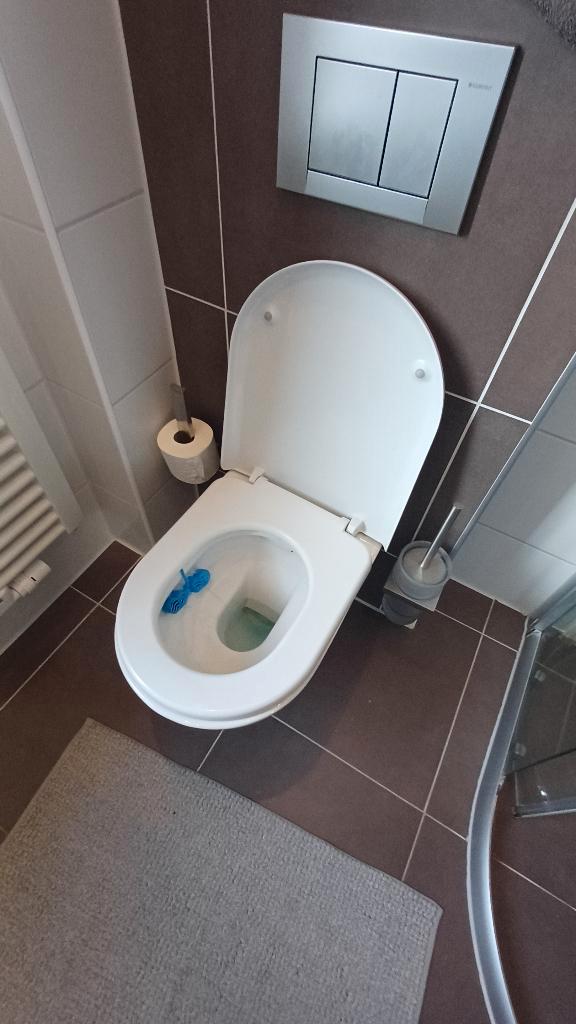 Hangtoilet incl inbouwreservoir, Doe-het-zelf en Verbouw, Sanitair, Gebruikt, Toilet, Steen, Ophalen