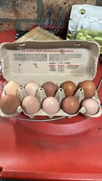 Verse eieren van loslopende kippen, Diversen, Levensmiddelen, Ophalen