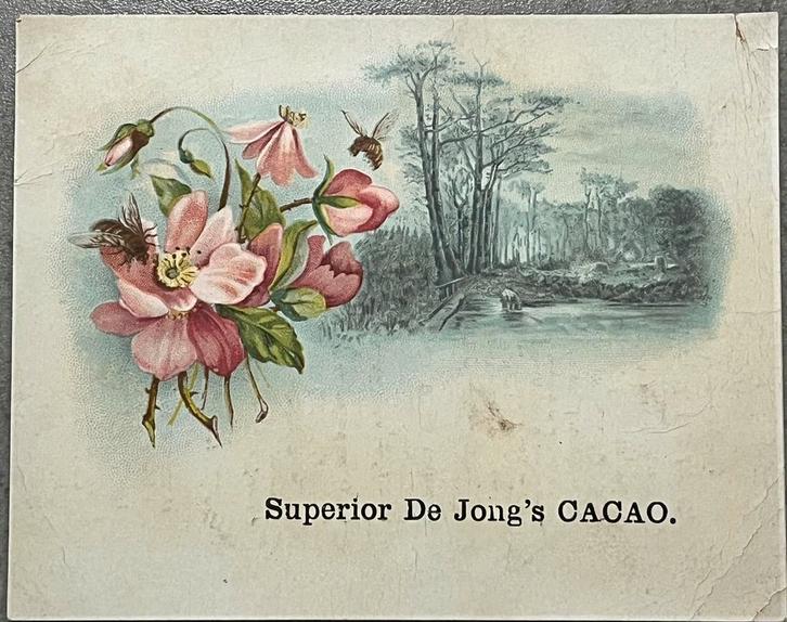 antieke reclamekaart De Jong cacao Wormerveer litho bloemen, Verzamelen, Merken en Reclamevoorwerpen, Gebruikt, Overige typen