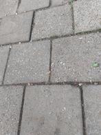 Gezocht  gratis stoeptegels, Tuin en Terras, Ophalen, Gebruikt, Beton, Overige typen