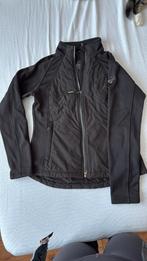 Lemieux hybrid vest 36, Dieren en Toebehoren, Paardrijkleding, Ophalen of Verzenden, Zo goed als nieuw, Dressuur, Bovenkleding