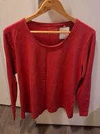 Yessica C&A shirt maat XL - Nieuw met kaartje!, Maat 46/48 (XL) of groter, Nieuw, Ophalen of Verzenden, Lange mouw