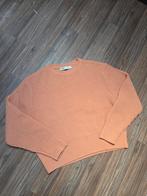 Zara roze trui mt M NIEUW, Kleding | Dames, Truien en Vesten, Maat 38/40 (M), Zara, Nieuw, Ophalen of Verzenden