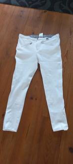 Witte rijbroek maat 42, Dieren en Toebehoren, Paardrijkleding, Ophalen of Verzenden, Zo goed als nieuw, Dressuur, Bovenkleding