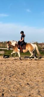 Stal ruiter aangeboden, Ophalen of Verzenden, Zo goed als nieuw