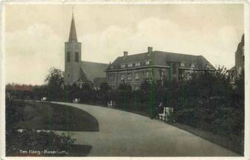 (301-215-023) Den Haag Rosarium beschikbaar voor biedingen