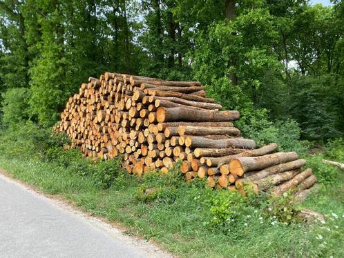 STAMHOUT LEVERBAAR | EIK, BEUK, BERK EN MEER, Tuin en Terras, Haardhout, Stammen, Eikenhout, 6 m³ of meer, Verzenden