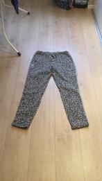 Dames pantalon ( panter print, Maat 42/44 (L), Ophalen of Verzenden, Zo goed als nieuw, Lang