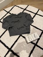 Heel goed grijs zwart vos sweater hoodie trui baby 86 92, Gebruikt, Ophalen of Verzenden, Hema, Truitje of Vestje