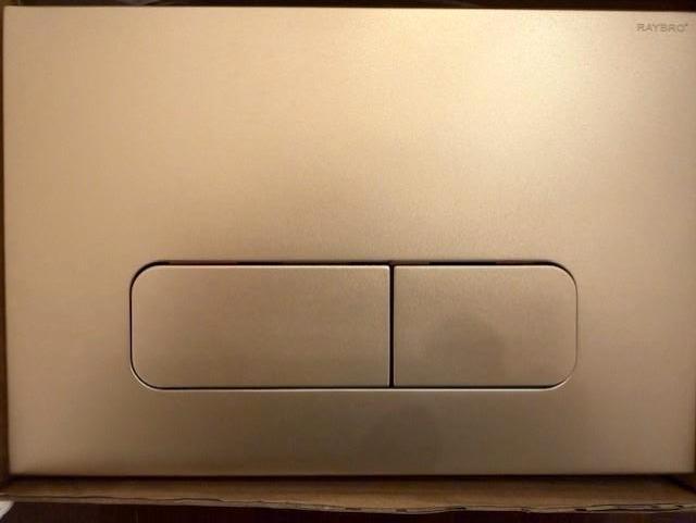 RAYBRO bedieningspaneel toilet, Ophalen, Nieuw, Chroom, Toilet