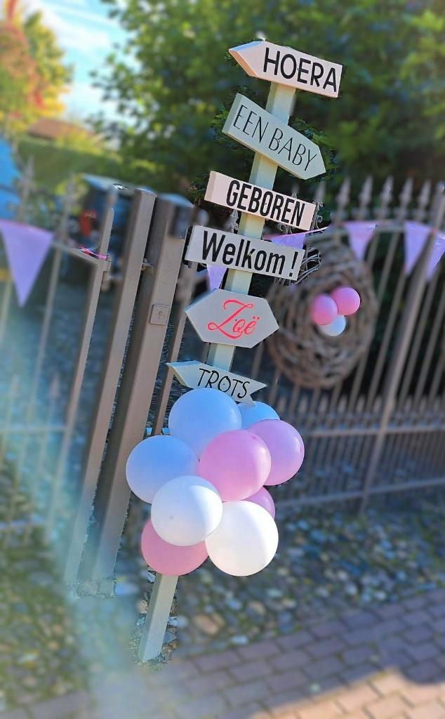 2 mooie stevige geboorteborden te koop, Kinderen en Baby's, Kraamcadeaus en Geboorteborden, Zo goed als nieuw, Geboortebord, Ophalen