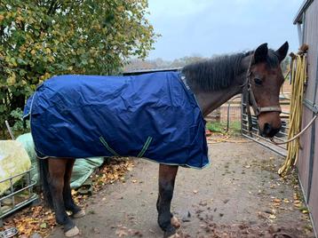 Bucas smartex medium maat 190 beschikbaar voor biedingen