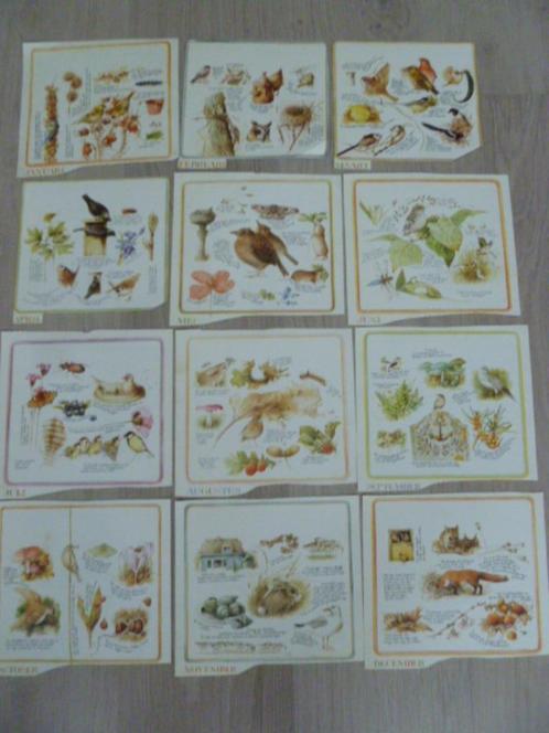 Marjolein Bastin: 12 (maanden) afbeeldingen. (van kalender.), Verzamelen, Foto's en Prenten, Gebruikt, Prent, Natuur, Ophalen of Verzenden