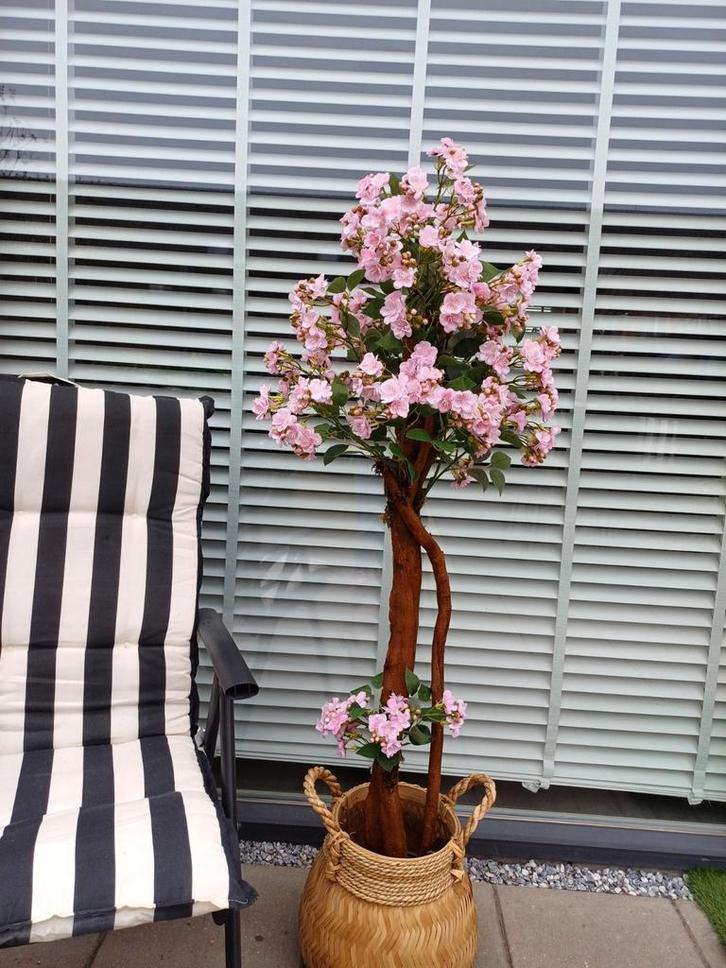 Prachtige Bloesemboom, Huis en Inrichting, Woonaccessoires | Kunstplanten en Kunstbloemen, Zo goed als nieuw, Binnen, Buiten, Ophalen of Verzenden