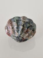 Jaspis schelp, Ophalen of Verzenden, Mineraal