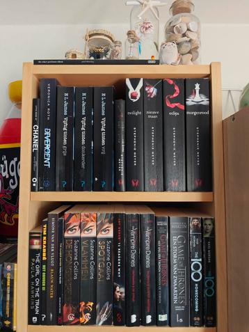 Diverse Boeken met bekende titels of tiktok favorites  beschikbaar voor biedingen