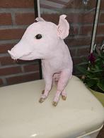 Opgezet echt biggetje ( roze ), Ophalen of Verzenden, Nieuw, Boerderijdier, Opgezet dier