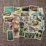 Vintage Verkade plaatjes 25 stuks, Ophalen of Verzenden, Gebruikt, Papier of Karton, Overige merken