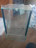 Spinnen terrarium, Gebruikt, ., ., Terrarium of Paludarium