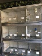 Trespa aluminium  broedkooien/ kweekkooien, Dieren en Toebehoren, Ophalen, Zo goed als nieuw, Aluminium, Broedkooi of Kweekkooi