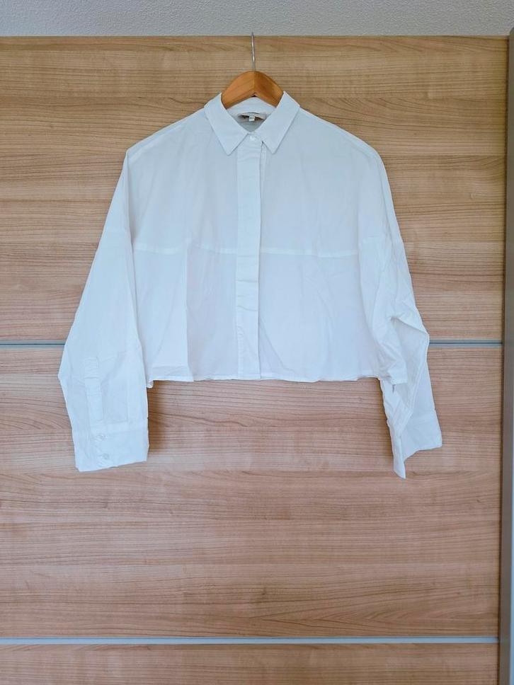 Nieuw Shoeby by Mieke cropped blouse, XS/S, Kleding | Dames, Blouses en Tunieken, Nieuw, Maat 34 (XS) of kleiner, Wit, Ophalen of Verzenden