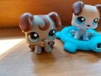 2x Littlest pet shop hond puppy, Ophalen of Verzenden