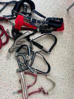 Diverse halsters, Ophalen of Verzenden, Zo goed als nieuw, Overige soorten