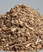 Rot without, Dieren en Toebehoren, Insecten en Spinnen, Overige soorten