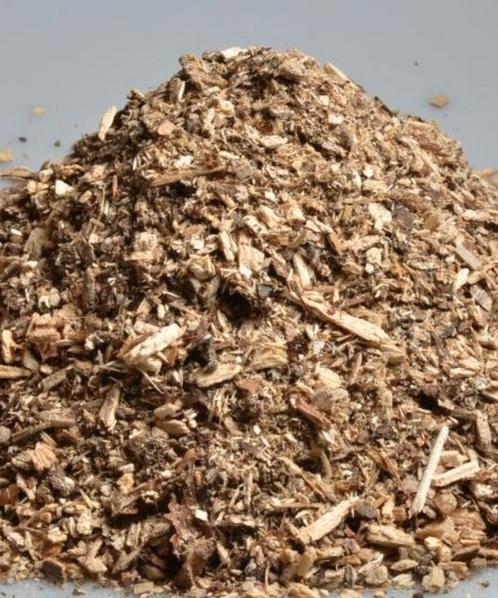 Rot without, Dieren en Toebehoren, Insecten en Spinnen, Overige soorten