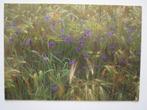 Kaart 15  met korenbloemen, Verzamelen, Verzenden, 1980 tot heden, Ongelopen, Natuur