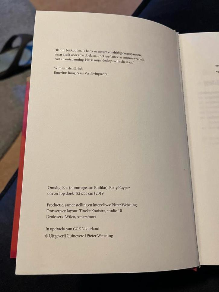 Wanneer het misgaat in je hoofd - Pieter Webeling, Boeken, Romans, Zo goed als nieuw, Nederland, Ophalen of Verzenden