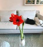 IKEA SÖDERHAMN 3-zits bank, Huis en Inrichting, Ophalen, Driepersoons, 75 tot 100 cm, Zo goed als nieuw