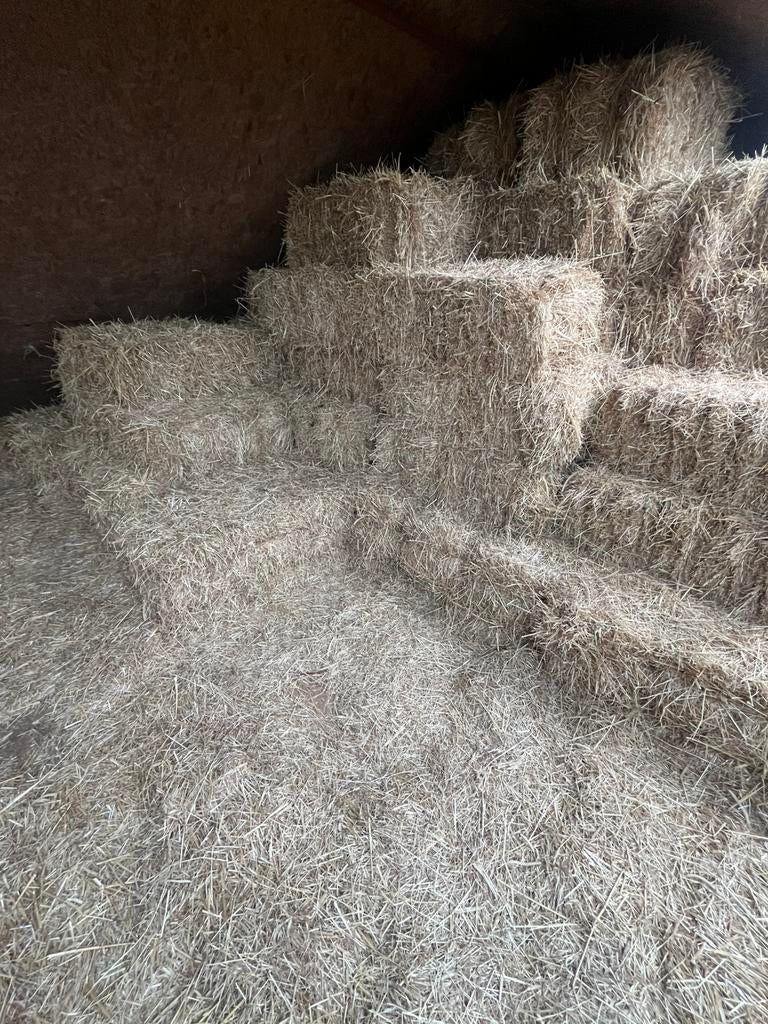 Hooi (paarden hooi ), Ophalen, Vee