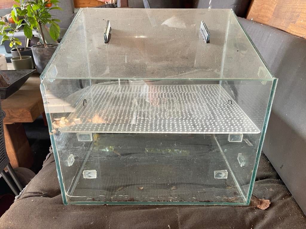 Broedstoof van glas., Ophalen, Gebruikt, Broedstoof of Broedmachine