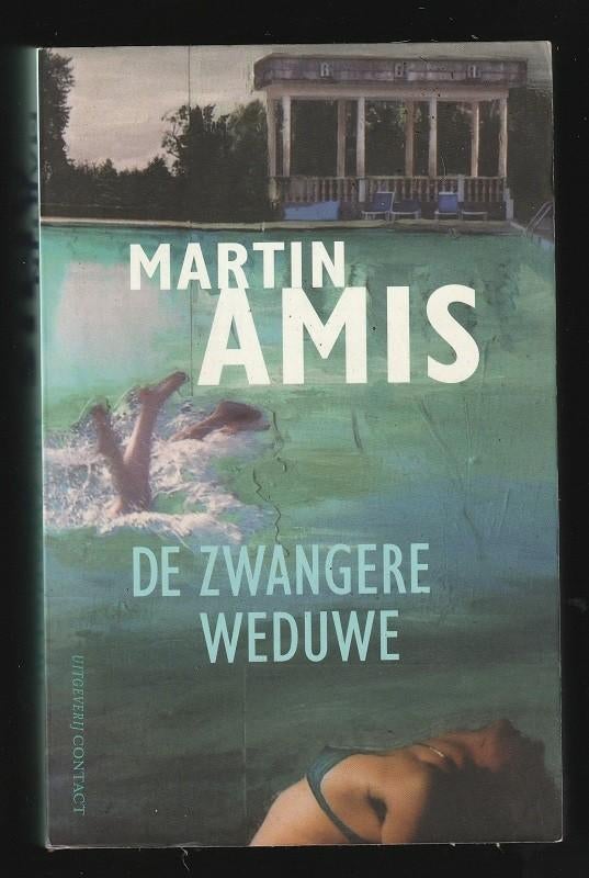 DE ZWANGERE WEDUWE - Historische roman van MARTIN AMIS, Ophalen of Verzenden, Zo goed als nieuw