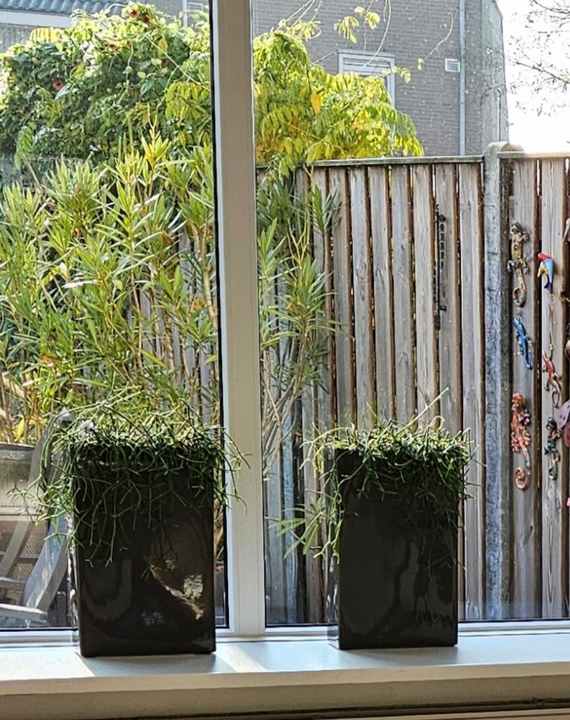 3 Ecri Living bloempotten - grijs, rechthoekig, Ophalen of Verzenden, Zo goed als nieuw