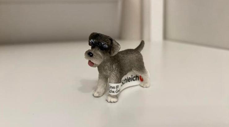 Schleich Dwergschnauzer met Vaan ~ 13892 10b, Ophalen of Verzenden, Zo goed als nieuw, Hond of Kat, Beeldje of Figuurtje