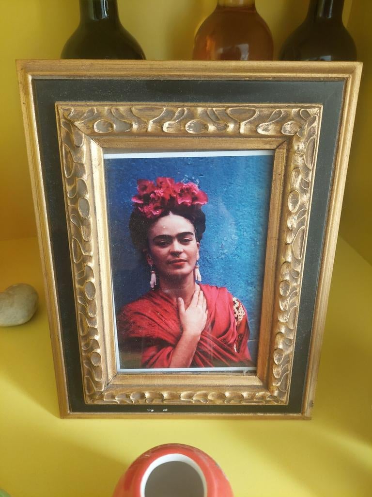 Frida Kahlo, Ophalen of Verzenden