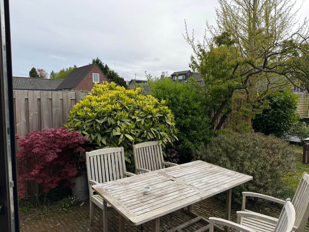 Gratis planten of boompjes, Tuin en Terras, Planten | Bomen, Ophalen, Halfschaduw, Overige soorten, 100 tot 250 cm