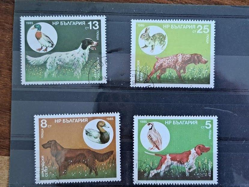Bulgarije 1985 gestempeld jachthonden, Ophalen of Verzenden, Gestempeld, Dier of Natuur