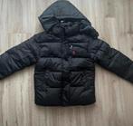 Ralph Lauren winterjas, Ophalen of Verzenden, Nieuw, Maat 36 (S), Zwart