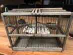 Ouderwetse vogel vangkooi. Vintage, Ophalen of Verzenden, Hout, Vogelkooi