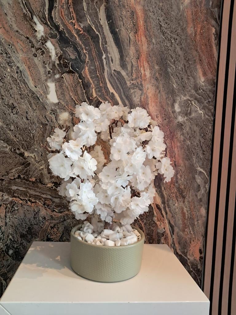 Tafelmodel bloesboom, Ophalen